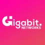 Gigabit Networks 400mm