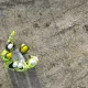 CityFibre triples business ethernet availability for its partners