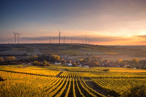 Img rural horizon